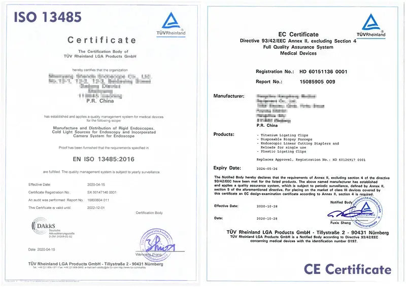 Imagen médica HD detalle preciso.